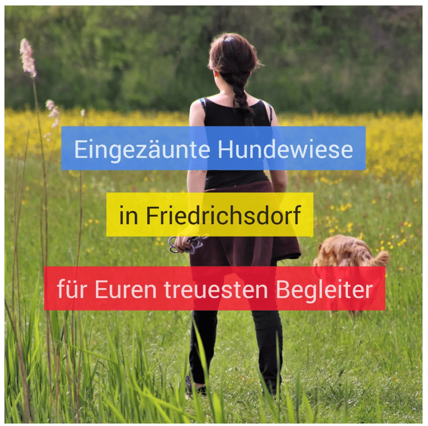 Antrag zur Errichtung einer eingezäunten Hundewiese